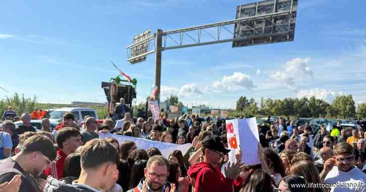 Il caro gasolio ferma i camion, il pane sta finendo e il contadino foggiano torna all’asino: la protesta bussa a Roma