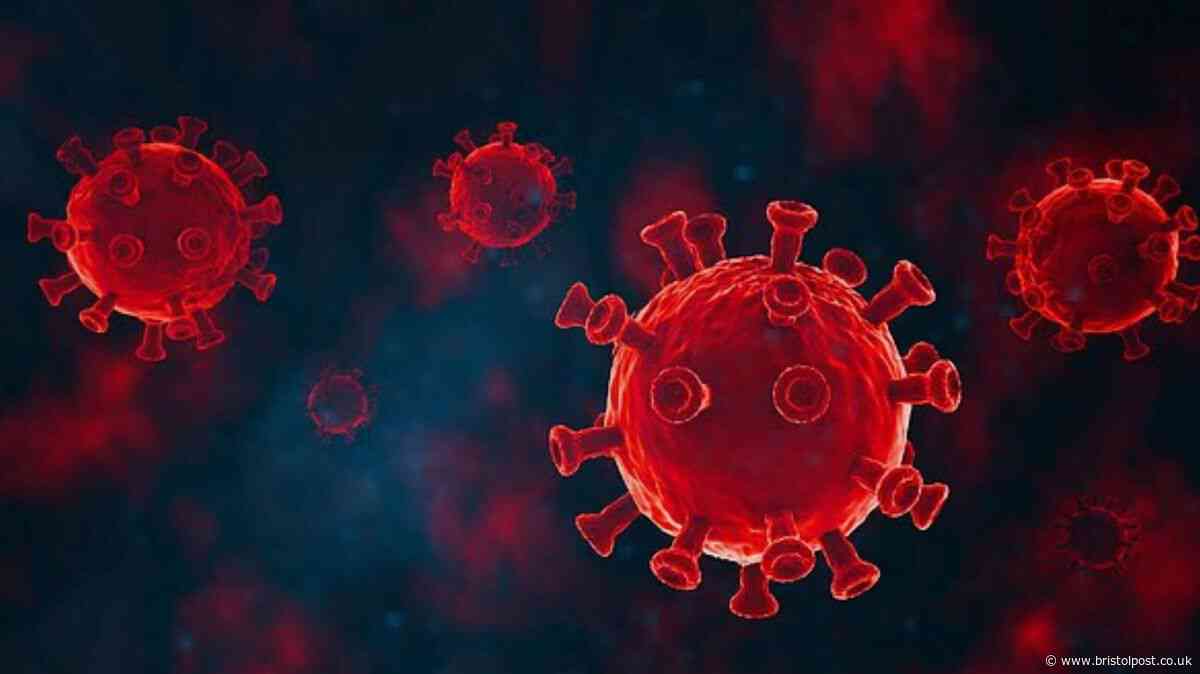 'I caught the new American Covid XFG - new symptom left me calling my mum for help'