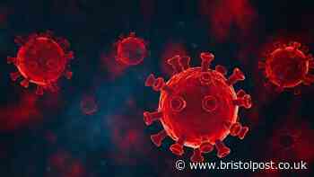 'I caught the new American Covid XFG - new symptom left me calling my mum for help'