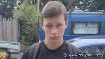 Body is found in search for missing boy, 17, at British country park