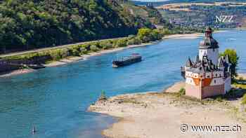 Rinnsal Rhein: Schifffahrt und Spediteure kämpfen gegen die Trockenheit – aber das braucht Zeit und Geld