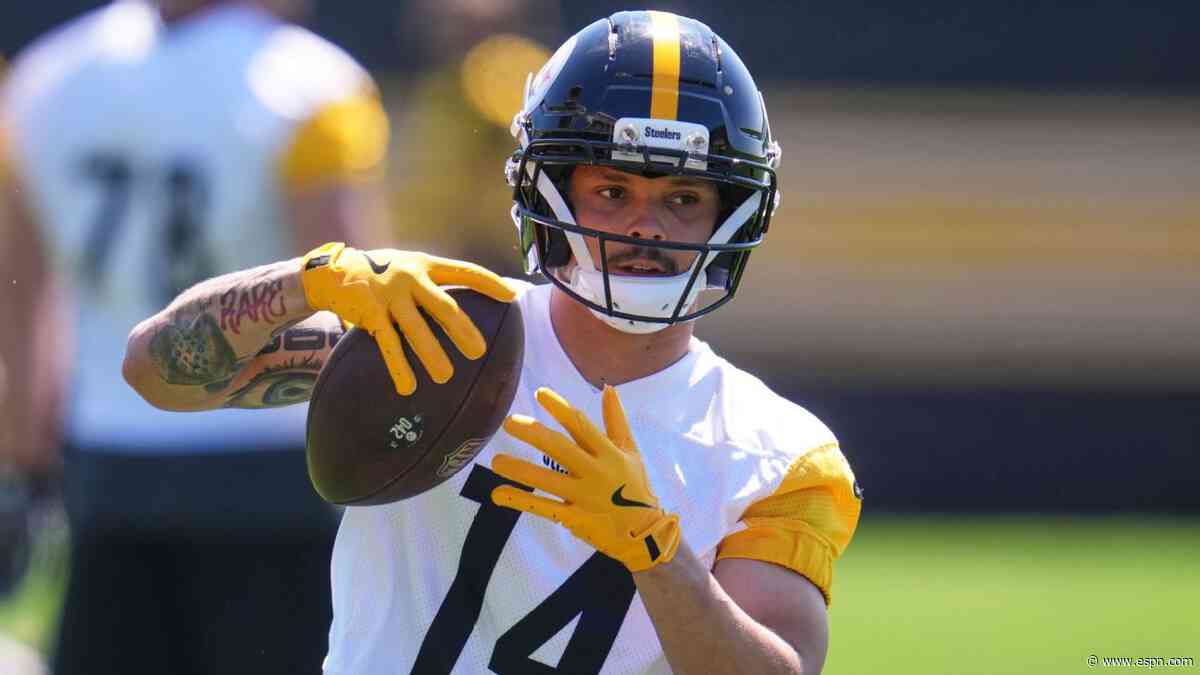Steelers lose receiver Wilson to IR, Metcalf comes off injury report