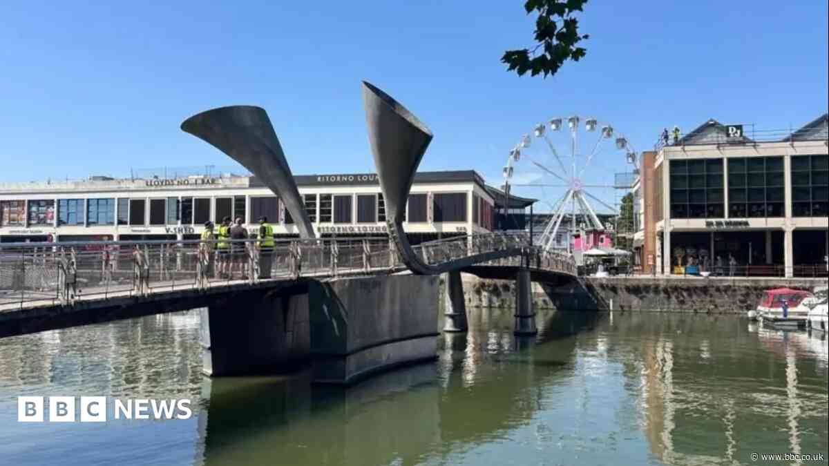 'Collapsed bridge findings' and 'Animal cruelty'