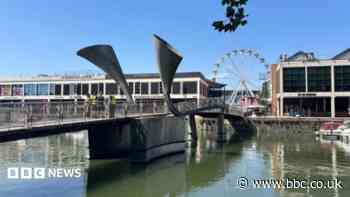 'Collapsed bridge findings' and 'Animal cruelty'