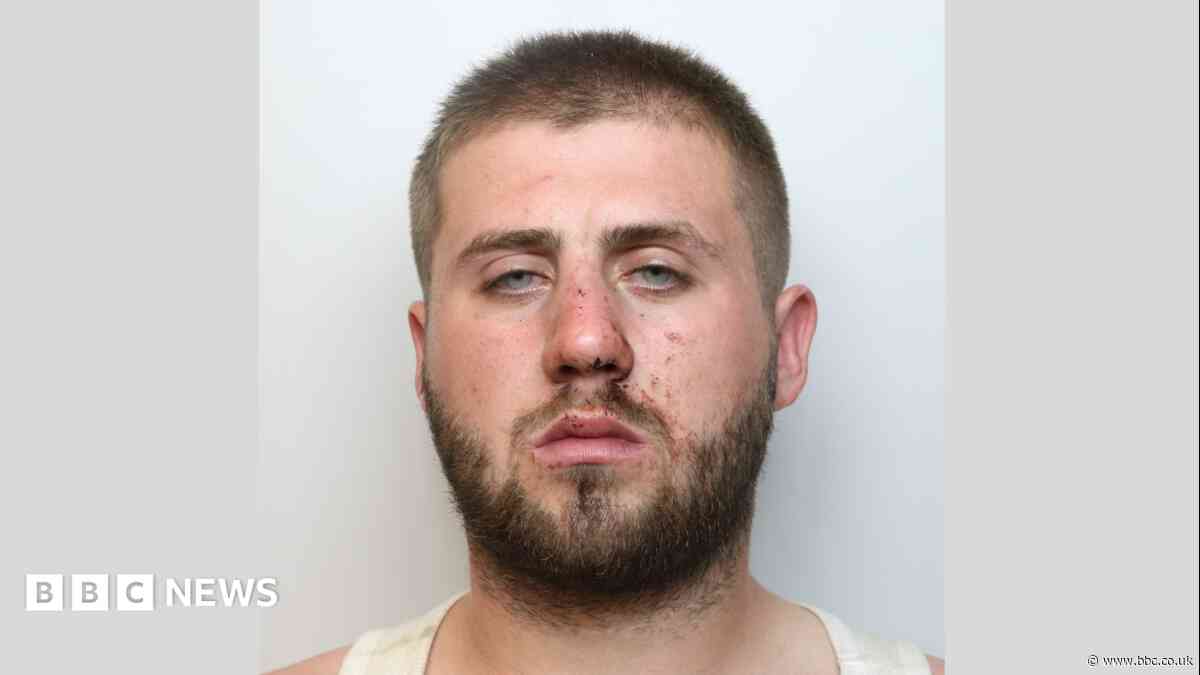 'Menace' driver tried to bite officers after chase