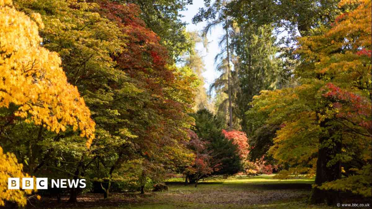 Top autumn walks as leaves expected to be more vibrant