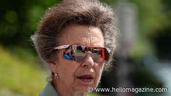Princess Anne's hair-raising 'wig' leaves fans with serious questions