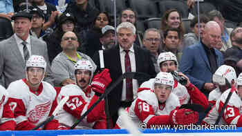 Red Wings Abruptly Part Ways With 7-Year NHL Veteran