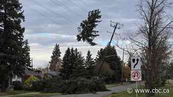 Weather alert issued as gusts up to 100 km/h expected in parts of central, southern Alberta Saturday