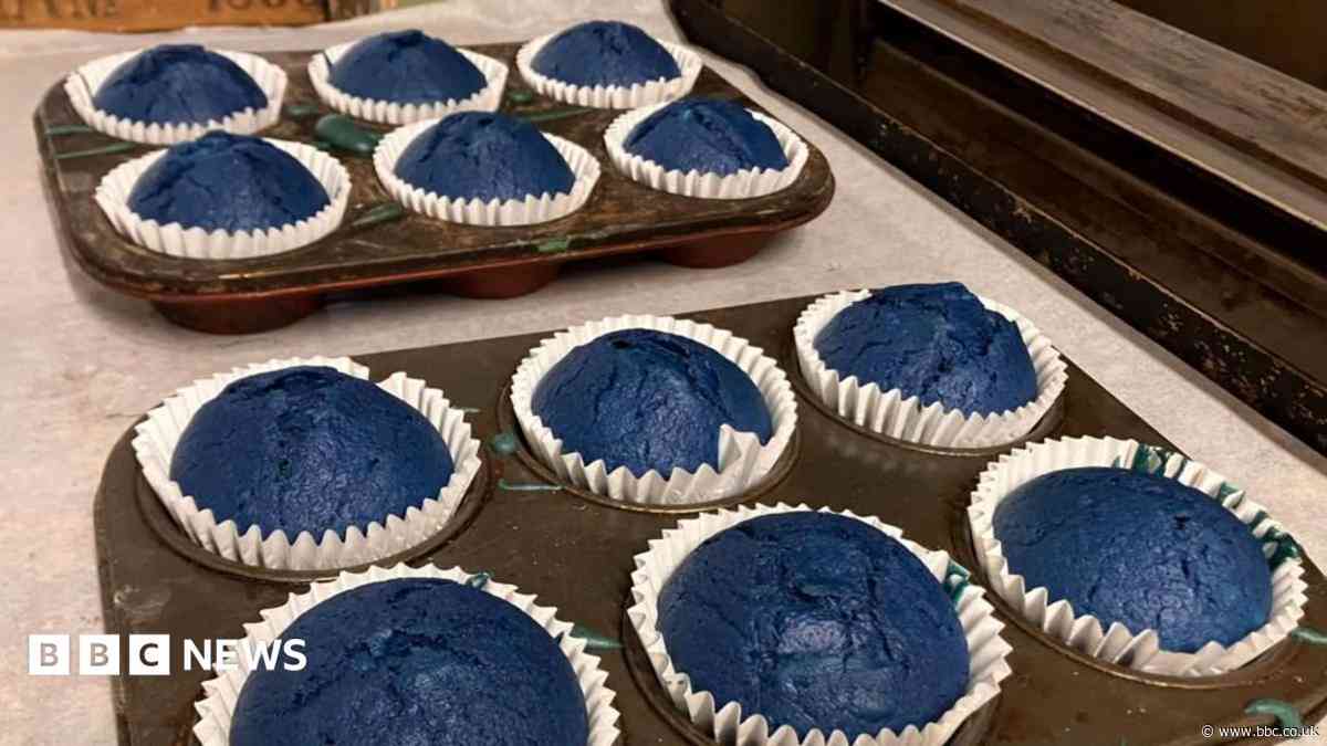 South weekly quiz: What can blue poo reveal about you?