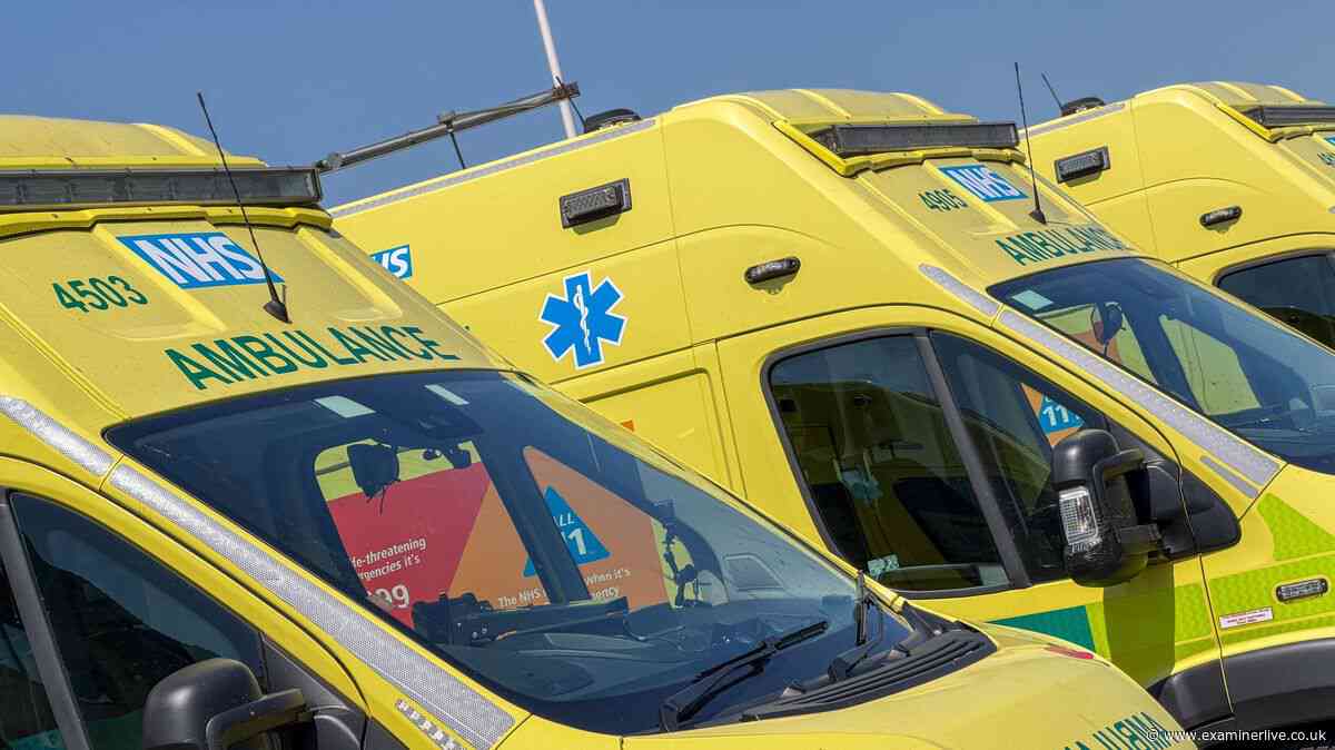 'Ominous' flu warning as NHS braces for 'challenging' winter