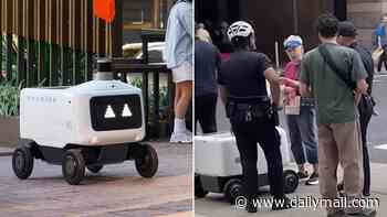 Dystopian moment Philadelphia woman is arrested for blocking delivery robot from completing its task