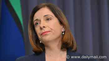 Sarah Henderson calls on PM to stand Anika Wells down over taxpayer-funded Adelaide trip: 'She has lied'