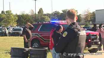 Children among two dead and ten critically injured after mom 'crashed pickup into soccer field while her kids were in the back'
