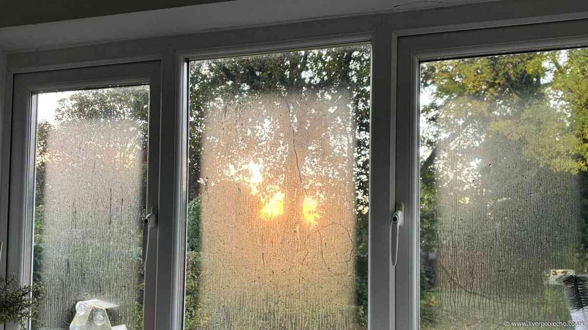 Prevent mould and damp in your home with easy task that stops 'litres' of water