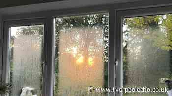 Prevent mould and damp in your home with easy task that stops 'litres' of water