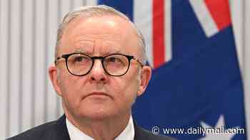 The Albanese government wants to cash in on our military history, and once it's gone we'll never get it back: PETER VAN ONSELEN