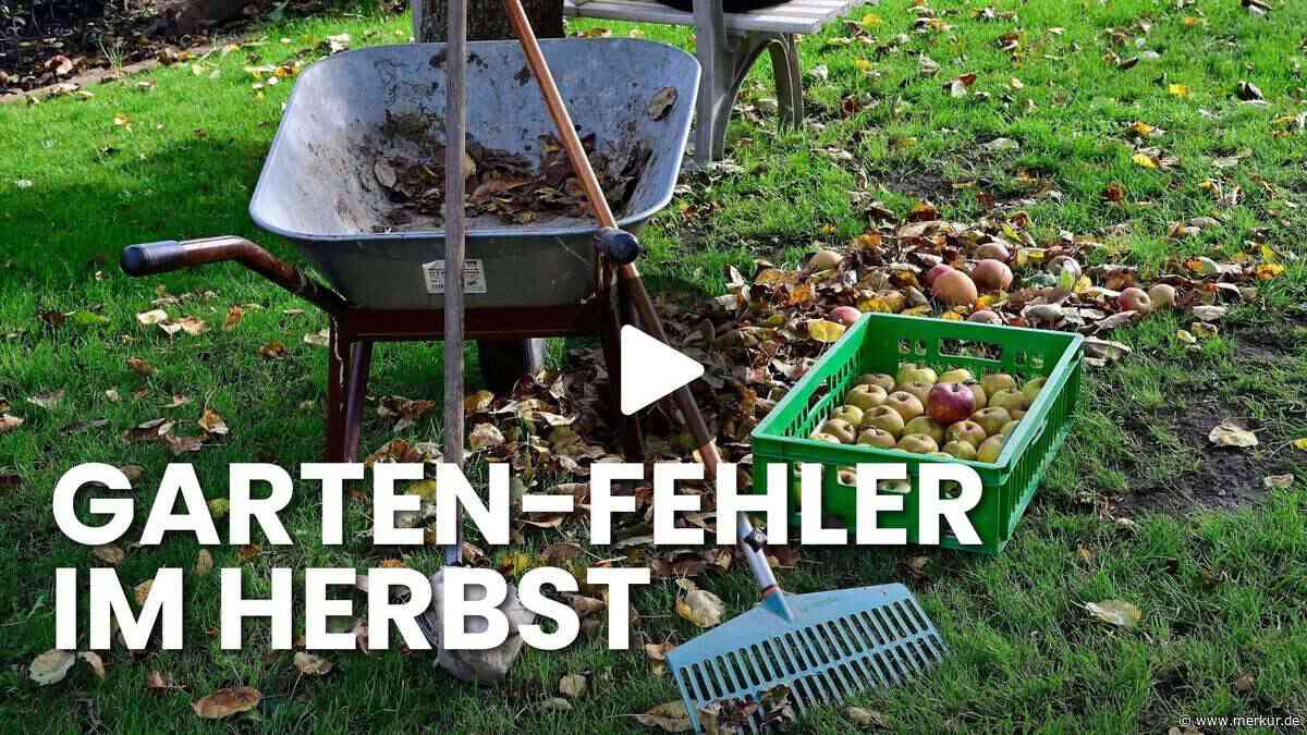 Diese 5 Fehler ruinieren Ihren Garten fürs nächste Jahr