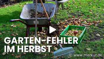 Diese 5 Fehler ruinieren Ihren Garten fürs nächste Jahr