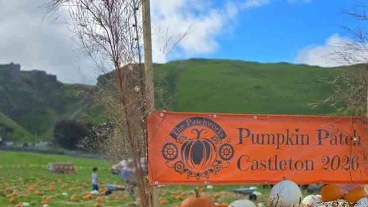 'Affordable' Pumpkin patch tucked into stunning Peak District valley 30 minutes from Yorkshire promising 'wholesome' day out