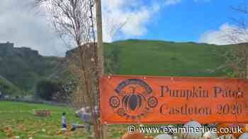 'Affordable' Pumpkin patch tucked into stunning Peak District valley 30 minutes from Yorkshire promising 'wholesome' day out