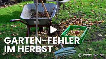Diese 5 Fehler ruinieren Ihren Garten fürs nächste Jahr