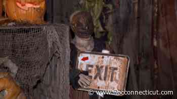 Thrills with chills: locals enjoy Trail of Terror despite cold temperatures