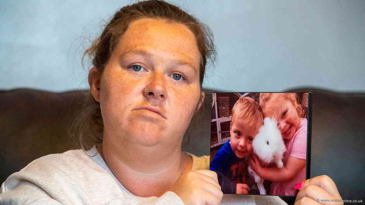 He killed my children and he's already free – our family will never be the same