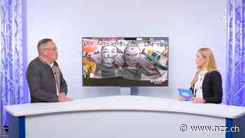 «Ich glotz AfD TV!» Wenn Parteien ihr Programm auf den Bildschirm bringen