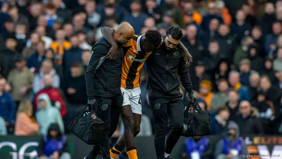 Hull City facing anxious wait over Vaz injury as Sergej Jakirovic explains Fulham tactics