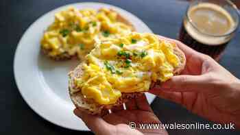 Make scrambled eggs softer with 1 simple seasoning before cooking