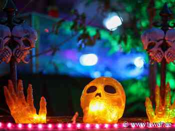 Halloween in NRW: 12 Tipps für die ganze Familie