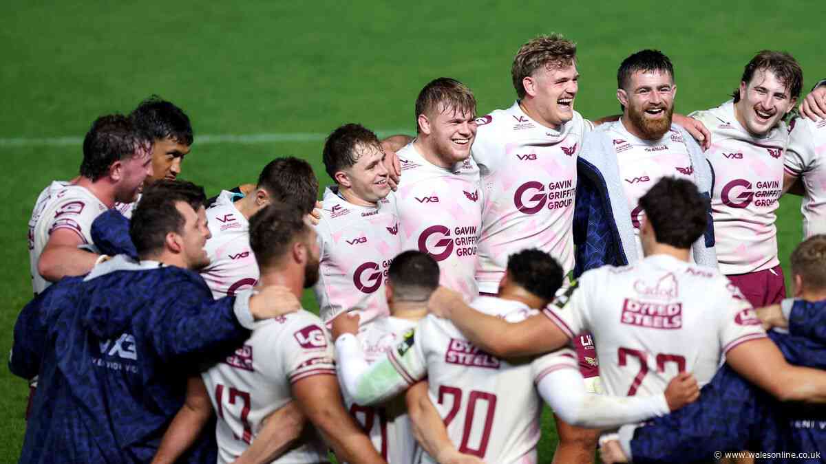 Scarlets player ratings as thrilling backs answer Wales selection questions