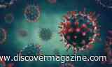 COVID-19 Variants This Fall, Gray Wolves Use Wildfires to Hunt, and a Blood Test Could Detect Breast Cancer