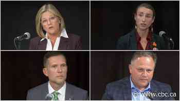 What matters this election in Hamilton, according to an expert: the mayoral race, open council seats and more