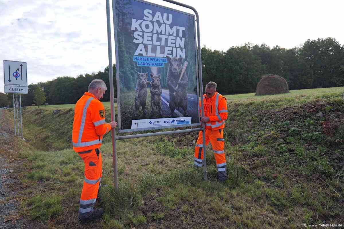 Auf Plakaten im Vogtland schwingt das Wildschwein die Keule für mehr Verkehrssicherheit