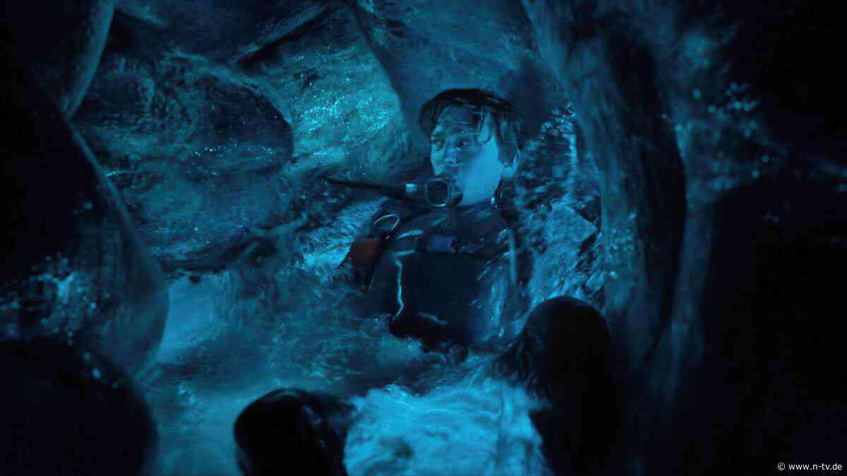Expertin über Film "Whalefall": Kann man im Magen eines Pottwals überleben?