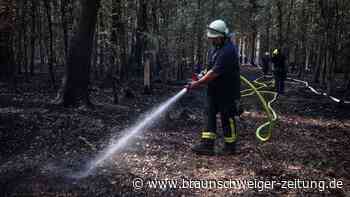 Hürtgenwald: Verheerender Waldbrand wohl durch Fremdeinwirkung ausgelöst