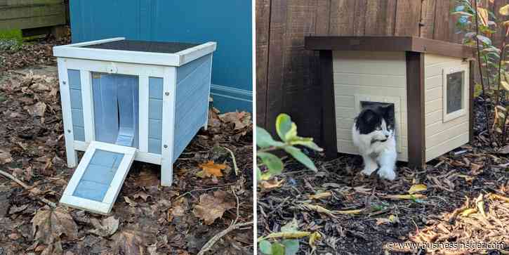 Best outdoor cat houses to keep them warm this winter