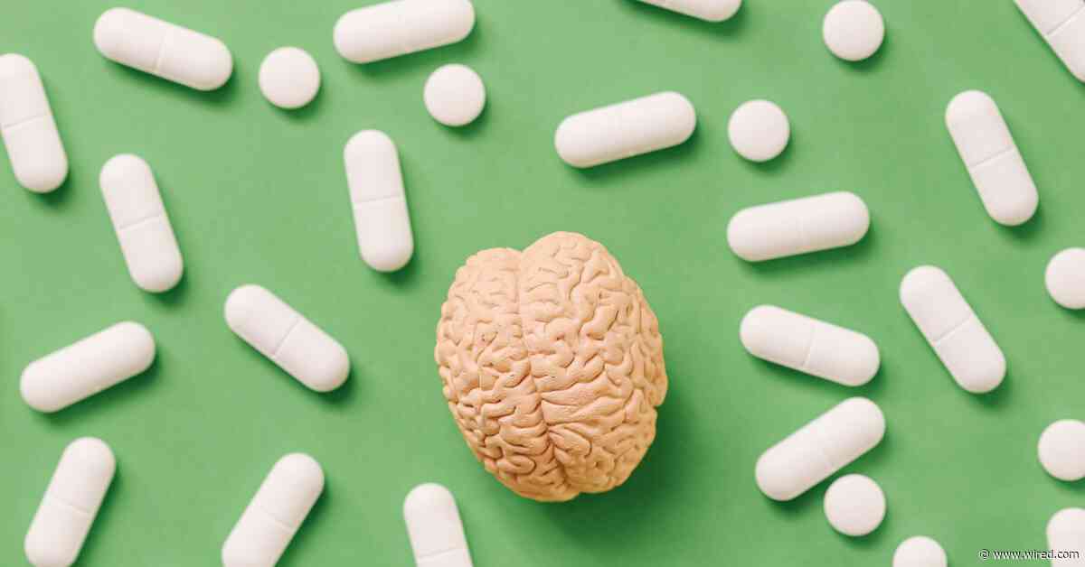 Magnesium May Not Reach Your Brain, Despite Supplement Label Promises