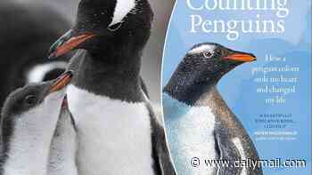 What can Penguins teach us about love?