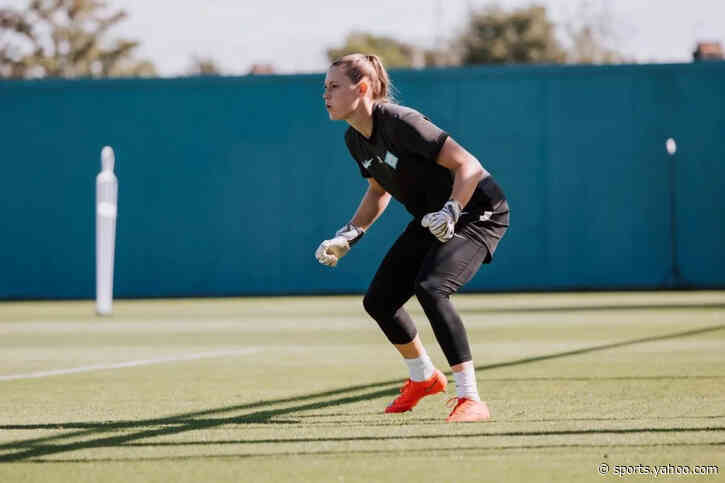 Sheffield United sign London City Lionesses keeper Hillyerd on emergency loan