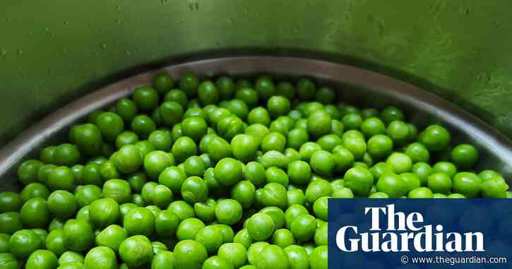 More peas, please! 17 delicious ways to devour Britain’s most brilliant vegetable