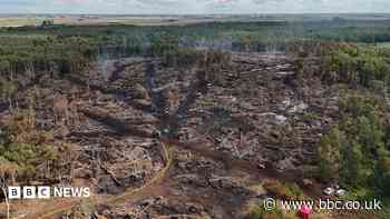 Cost of tackling huge summer wildfire revealed