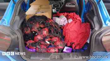 Men stole £12k of Ann Summers lingerie and sex toys