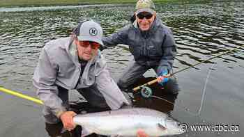 ‘Our river is almost dead’: What’s killing an iconic Miramichi fishery?