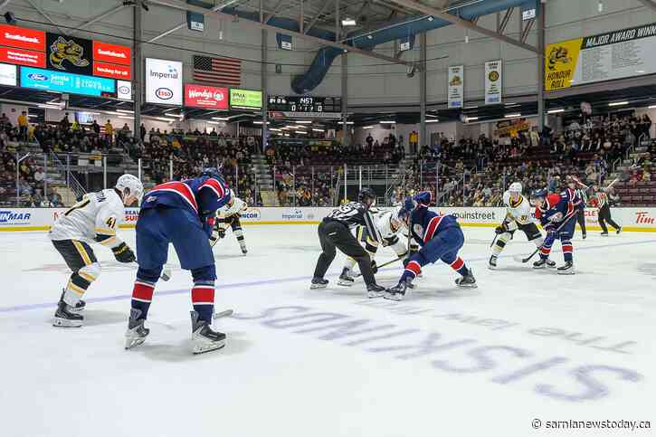 Sting take another tough loss to Saginaw