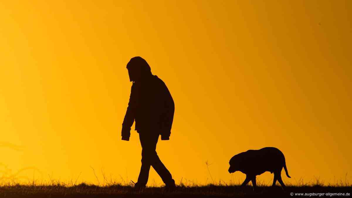 Vermisster Hund steckt im Biberbau fest: THW kämpft um Rettung bei Illertissen