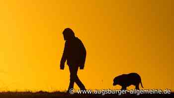 Vermisster Hund steckt im Biberbau fest: THW kämpft um Rettung bei Illertissen