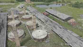 Frozen in time: Volunteers refuse to let Claybank Brick Plant historic site be forgotten